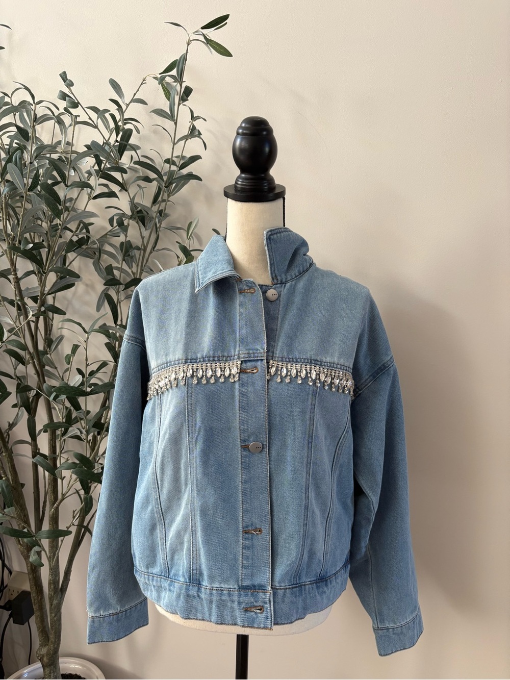 Tgla Francesca Rhinestone fringe denim jacket